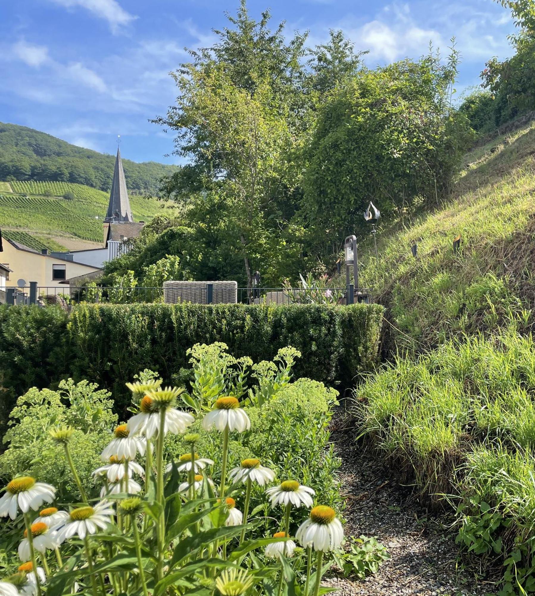 Ferienpension Bei Stenze Hotel Senheim Luaran gambar